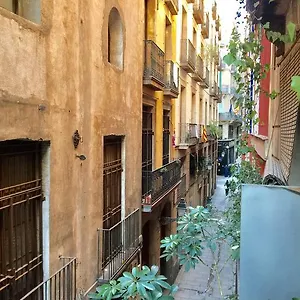 La Calma Pensión